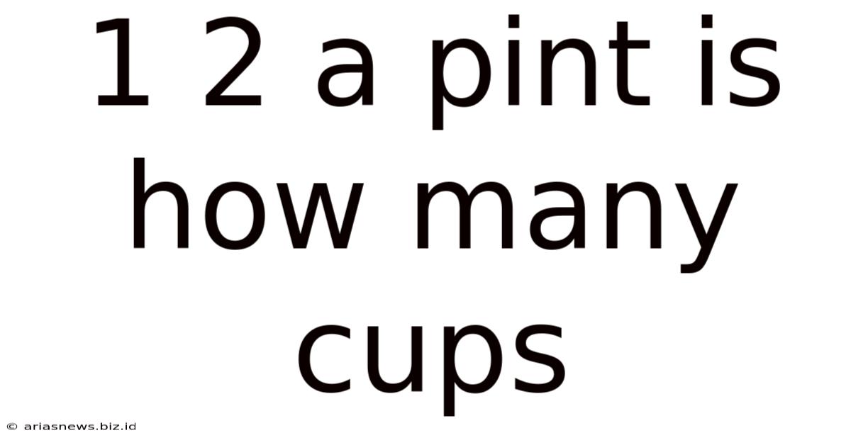 1 2 A Pint Is How Many Cups