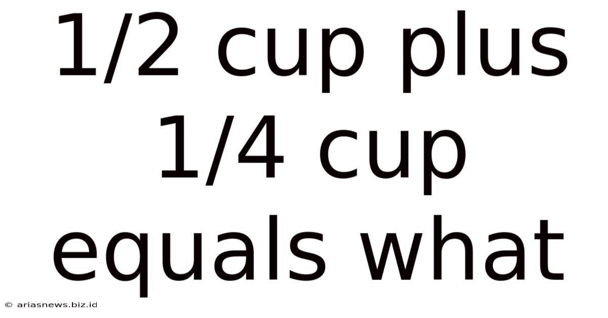 1/2 Cup Plus 1/4 Cup Equals What