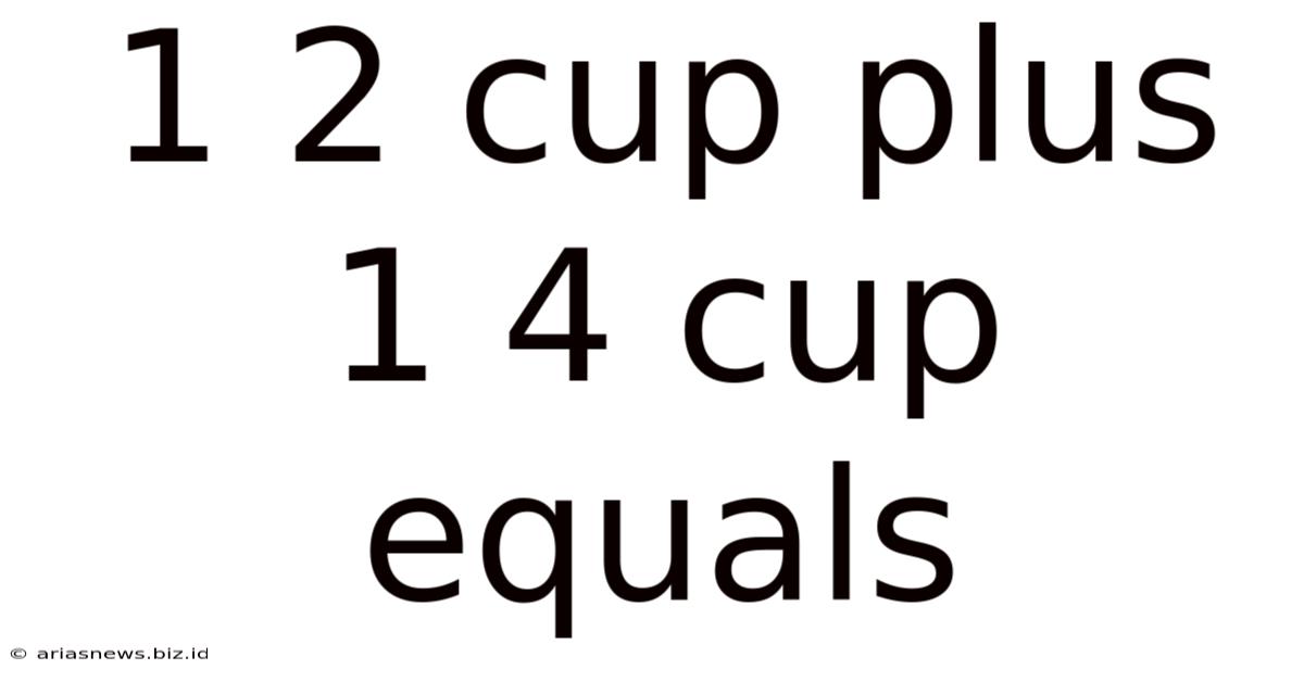 1 2 Cup Plus 1 4 Cup Equals