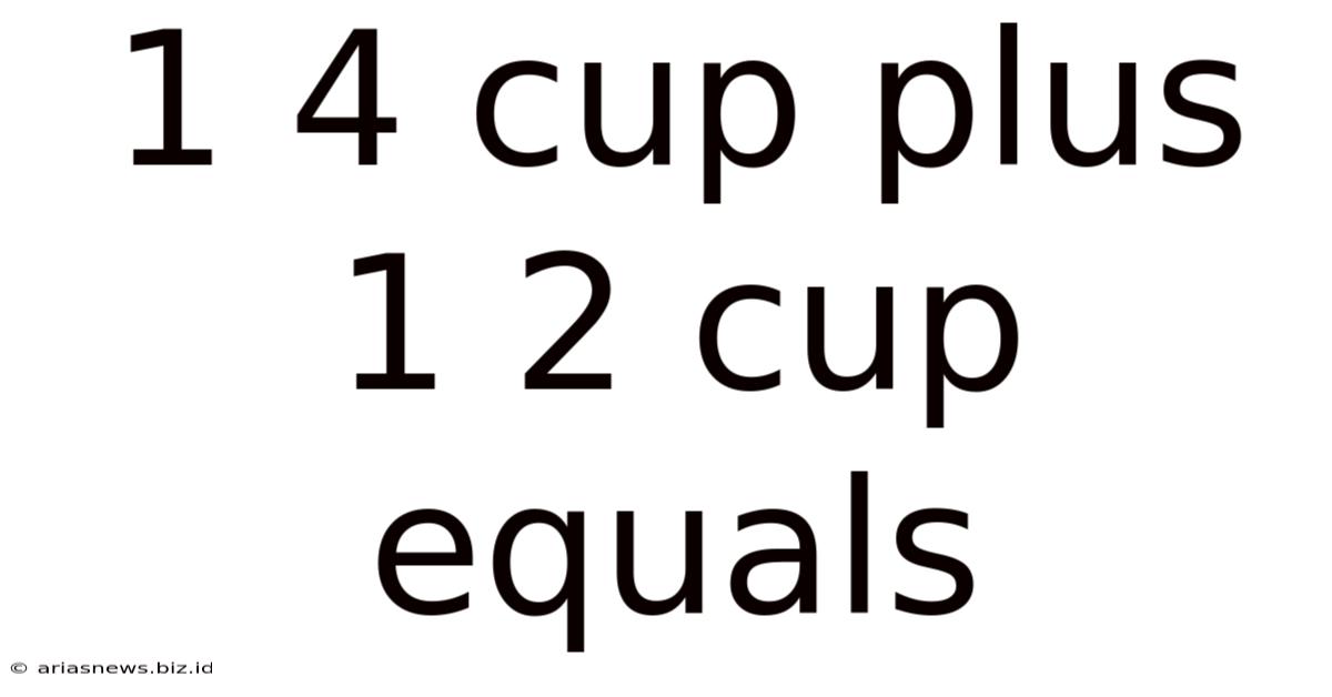 1 4 Cup Plus 1 2 Cup Equals