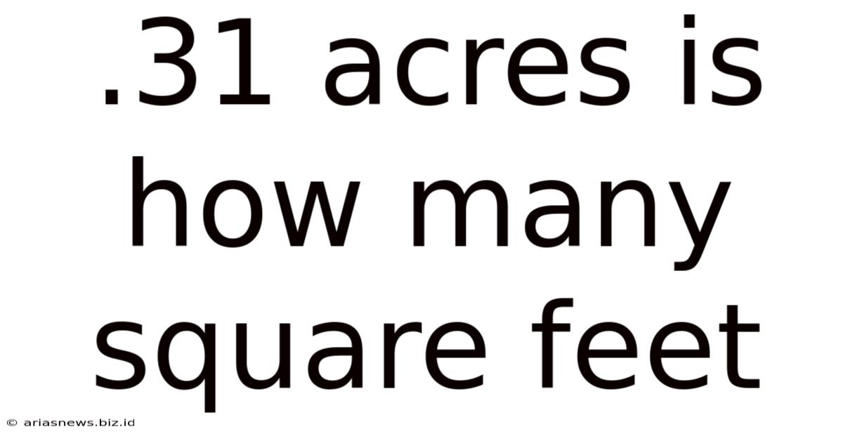 .31 Acres Is How Many Square Feet