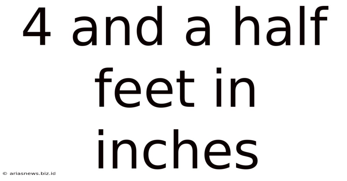 4 And A Half Feet In Inches