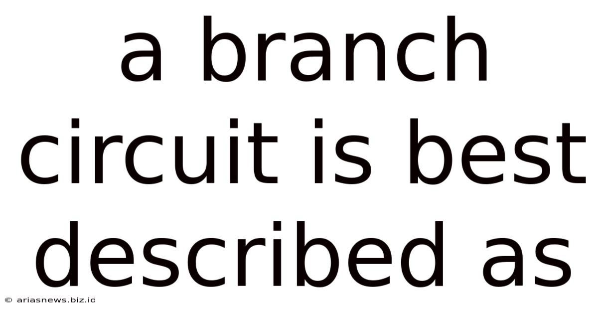 A Branch Circuit Is Best Described As