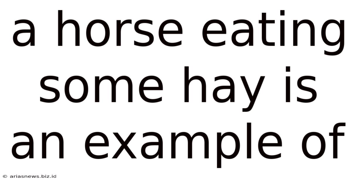 A Horse Eating Some Hay Is An Example Of