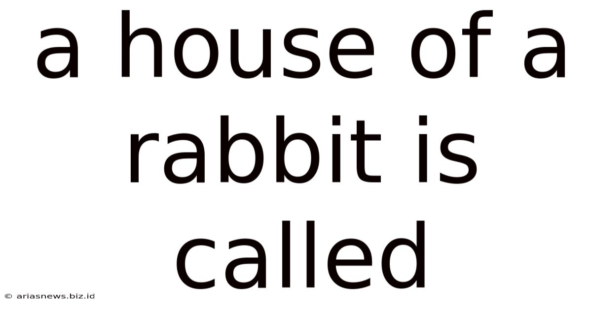 A House Of A Rabbit Is Called