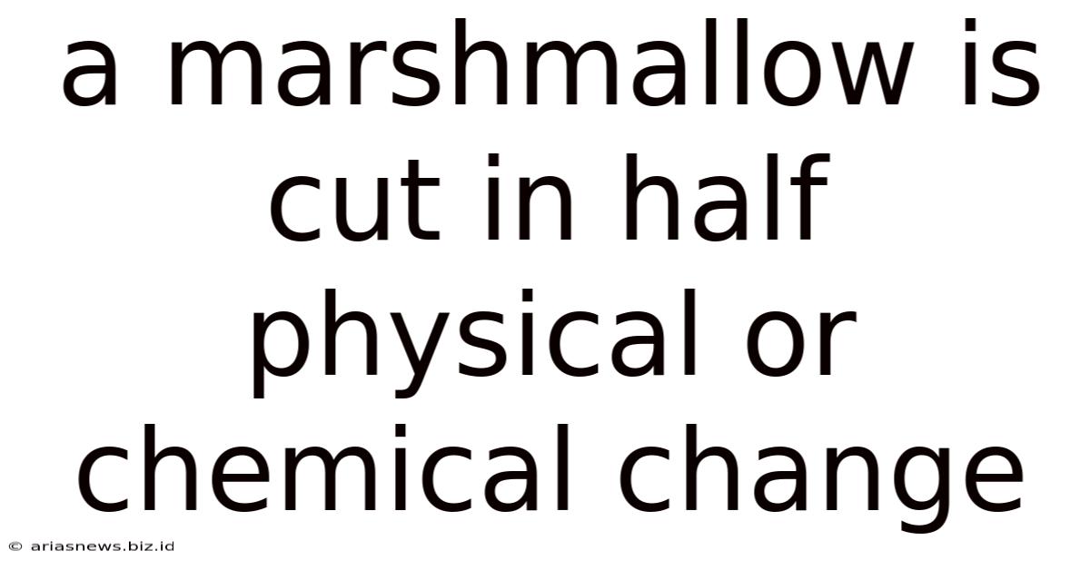A Marshmallow Is Cut In Half Physical Or Chemical Change