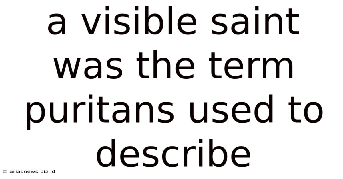 A Visible Saint Was The Term Puritans Used To Describe