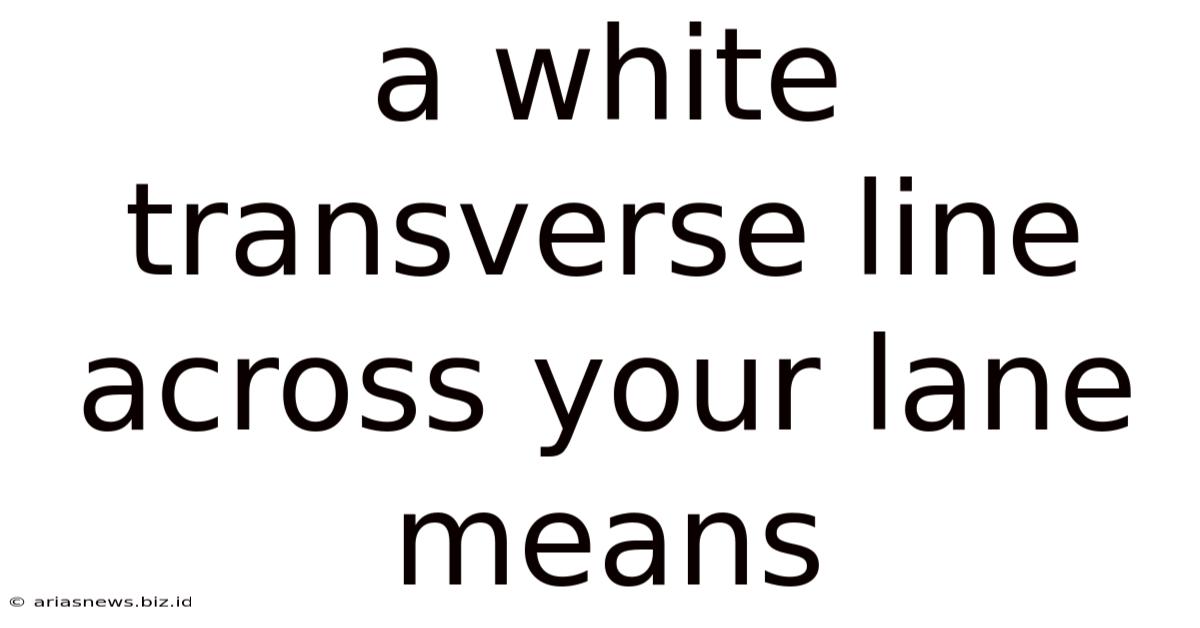 A White Transverse Line Across Your Lane Means