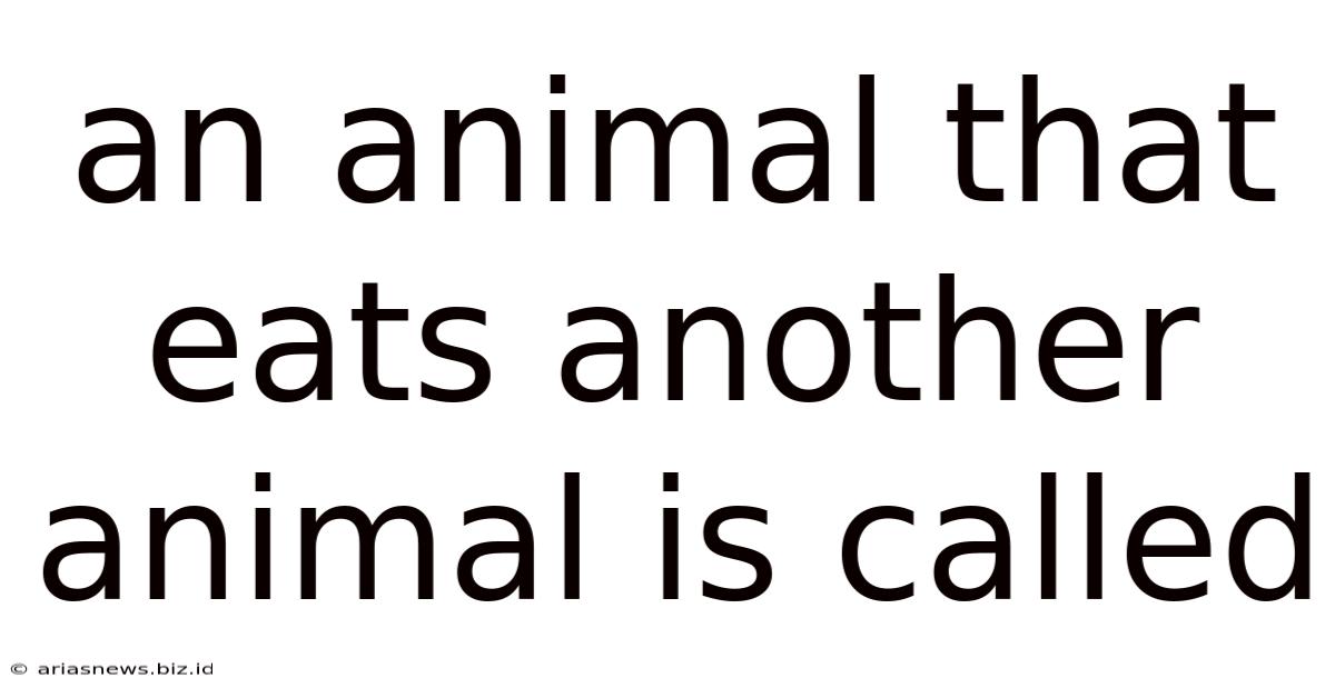 An Animal That Eats Another Animal Is Called