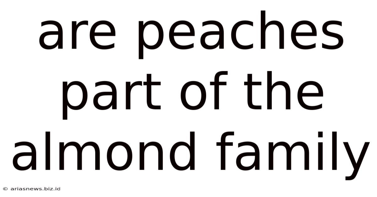 Are Peaches Part Of The Almond Family