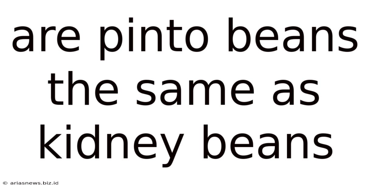 Are Pinto Beans The Same As Kidney Beans