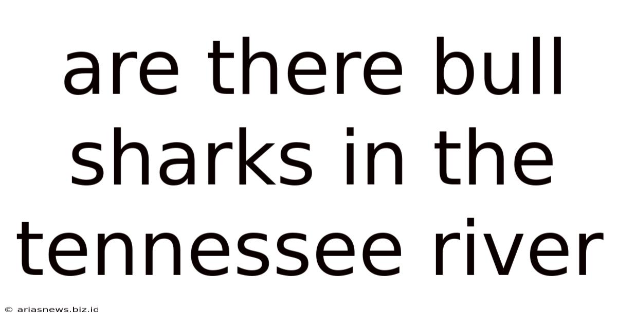 Are There Bull Sharks In The Tennessee River