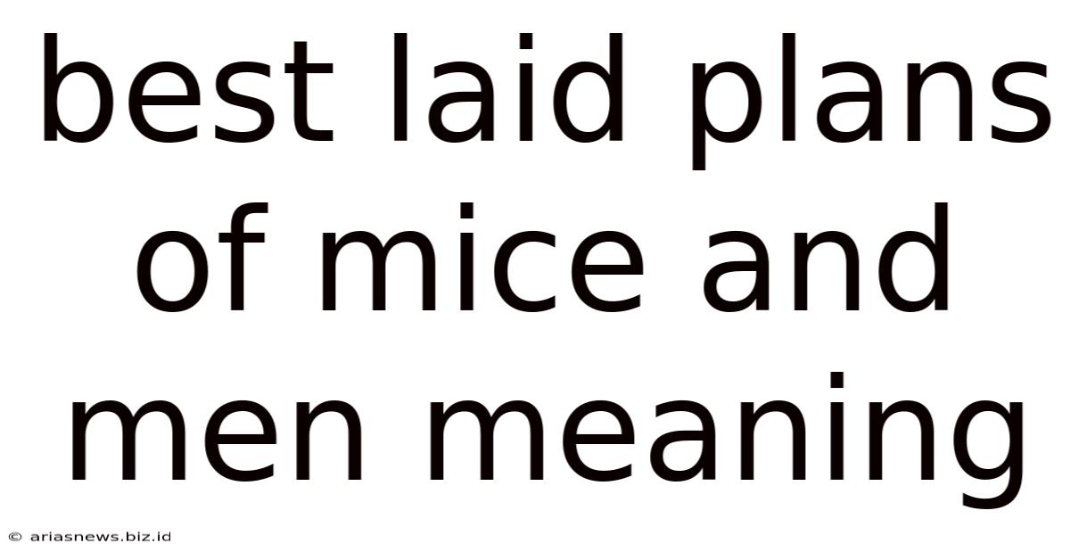 Best Laid Plans Of Mice And Men Meaning