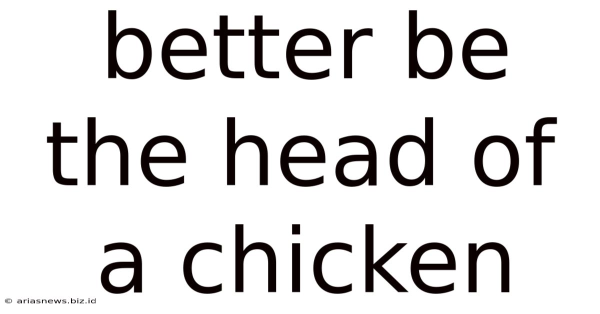 Better Be The Head Of A Chicken