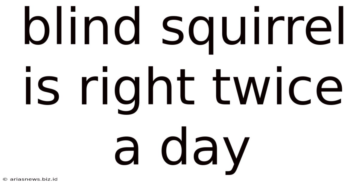 Blind Squirrel Is Right Twice A Day