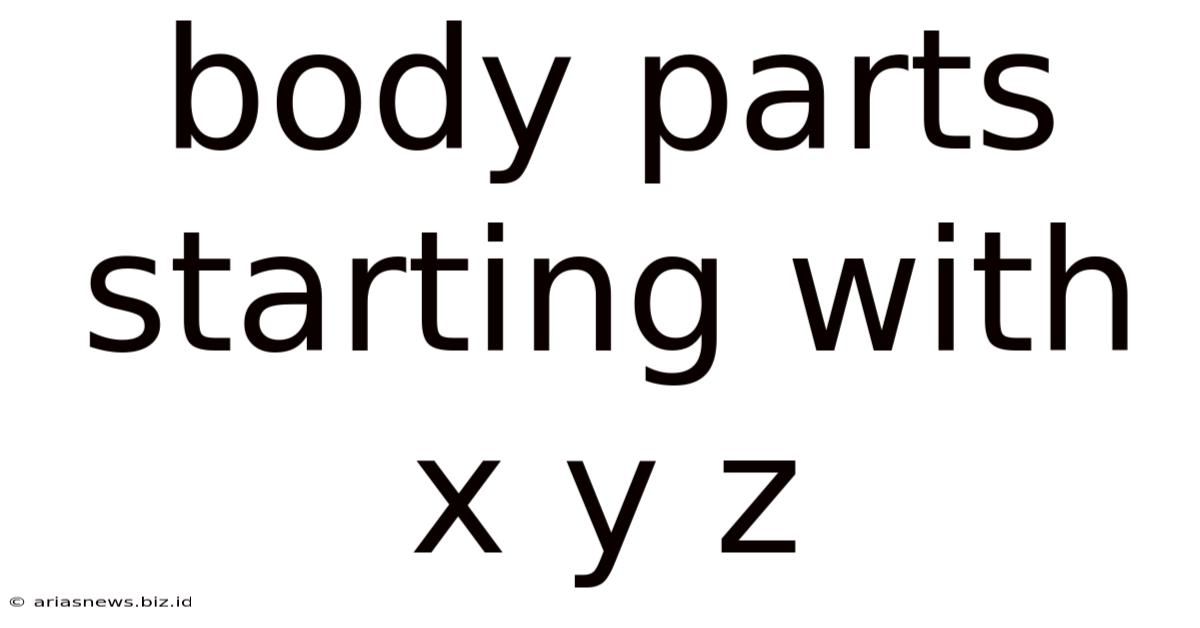 Body Parts Starting With X Y Z