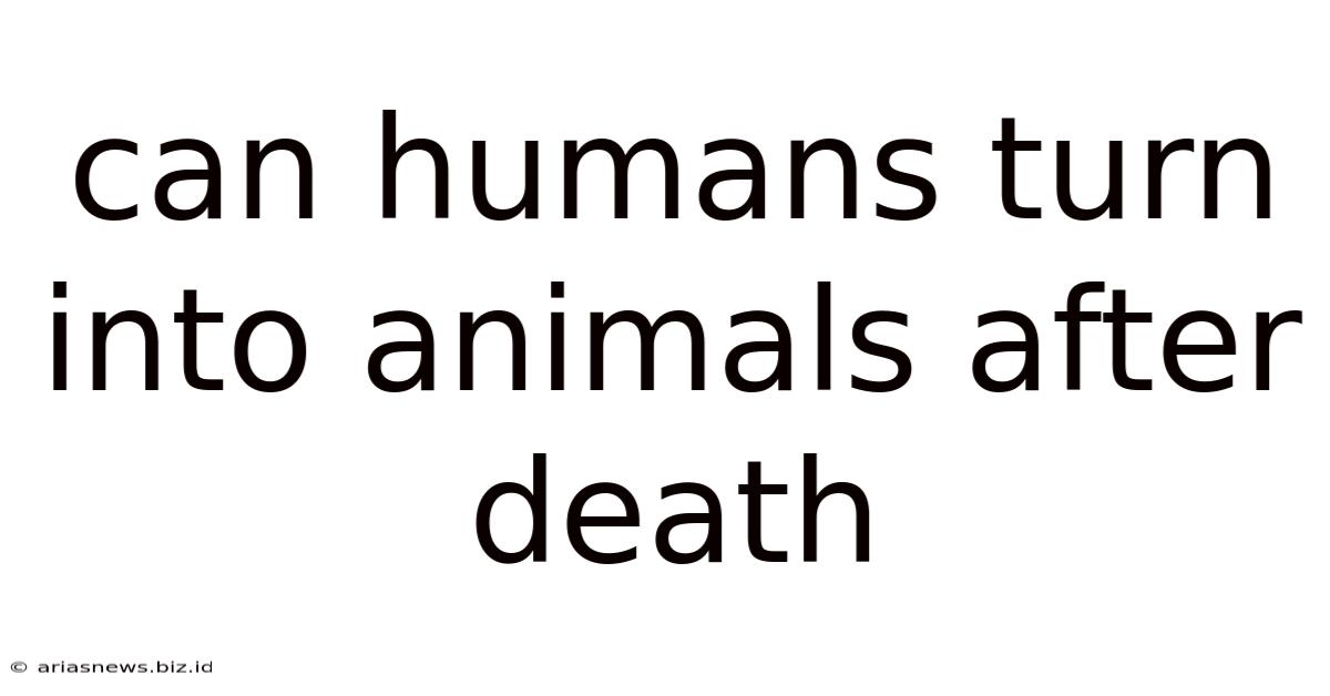 Can Humans Turn Into Animals After Death