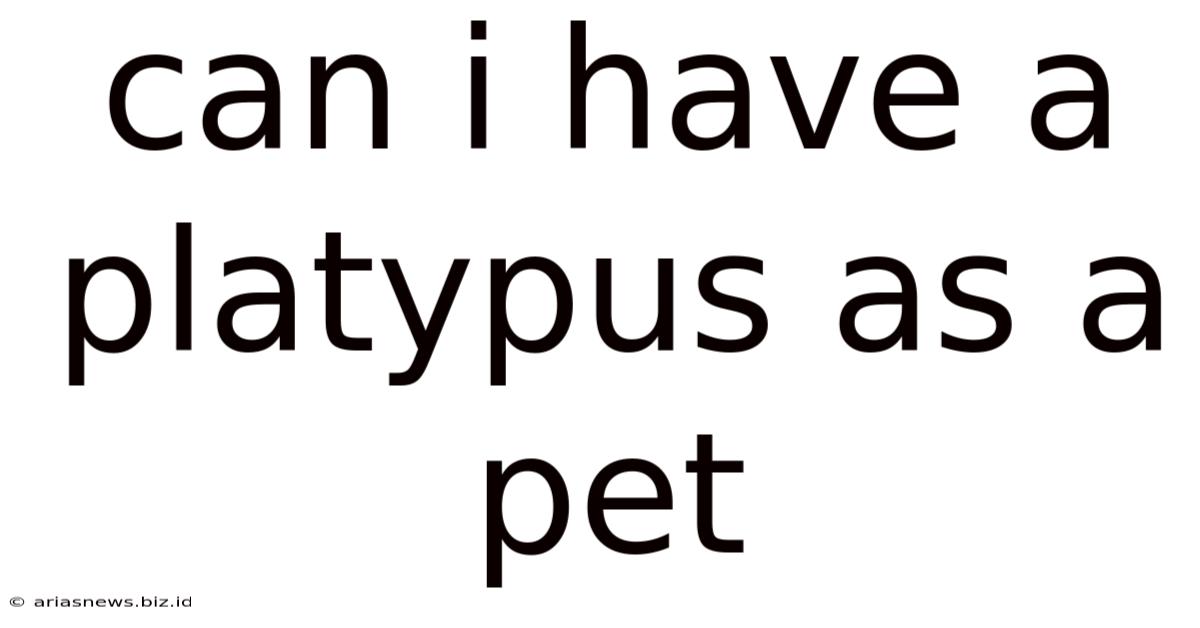 Can I Have A Platypus As A Pet