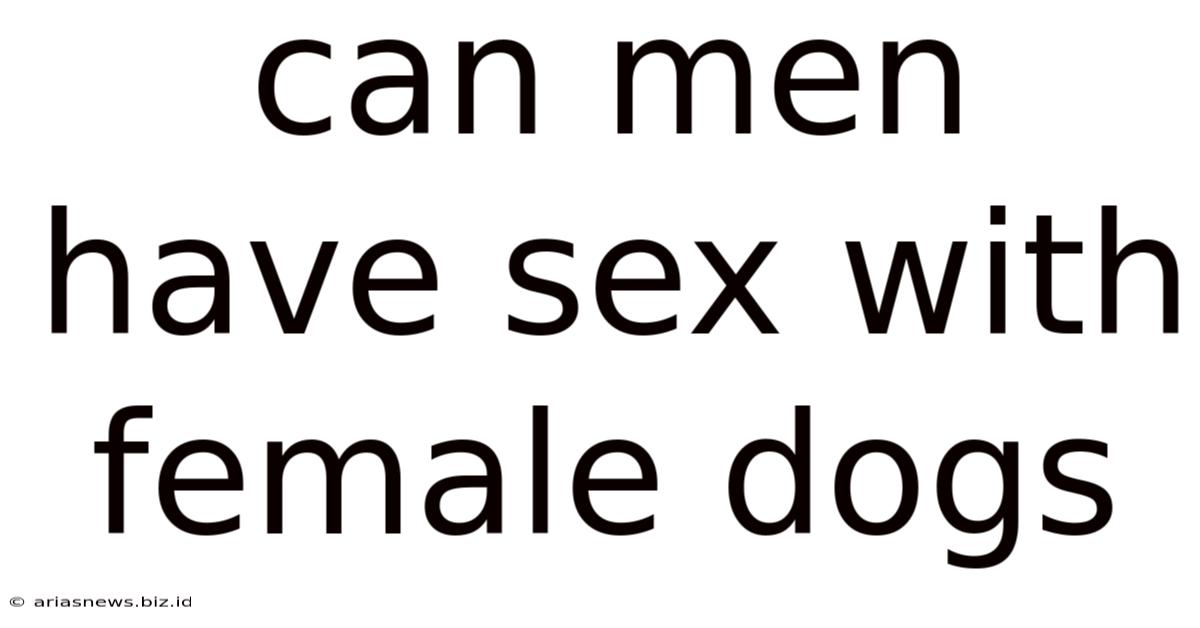 Can Men Have Sex With Female Dogs