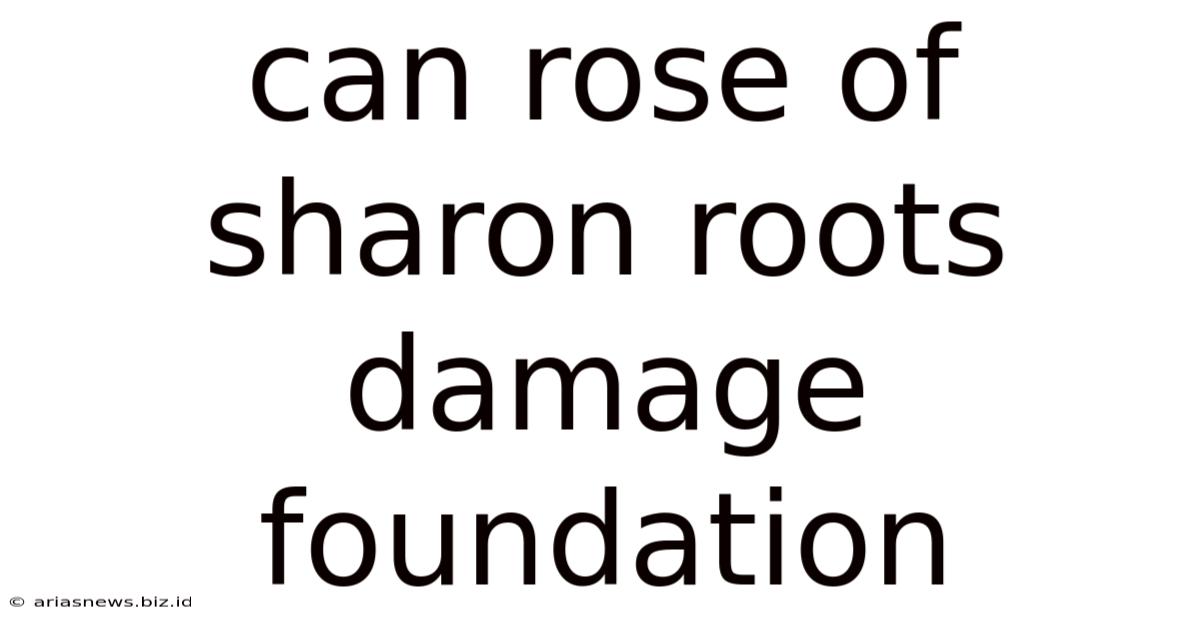 Can Rose Of Sharon Roots Damage Foundation