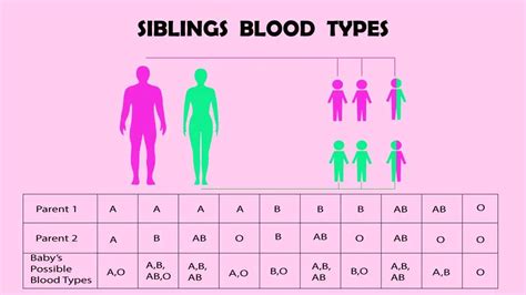 Can Siblings Have The Same Blood Type