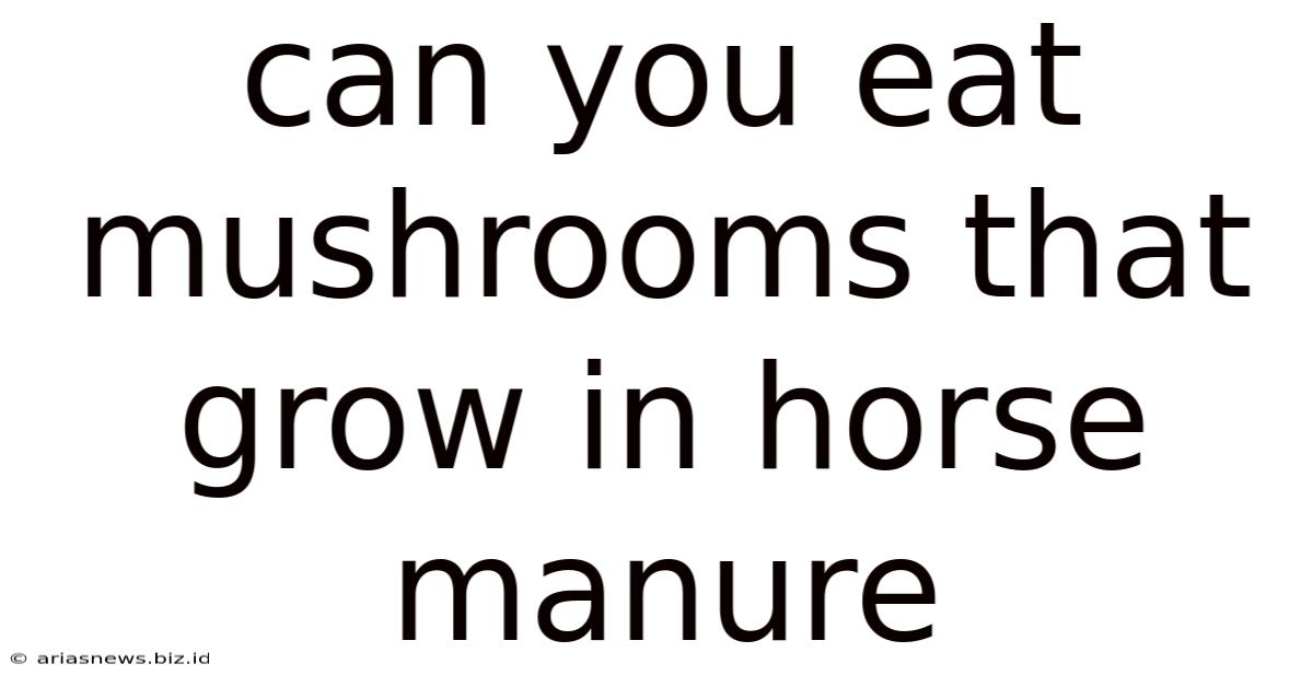 Can You Eat Mushrooms That Grow In Horse Manure