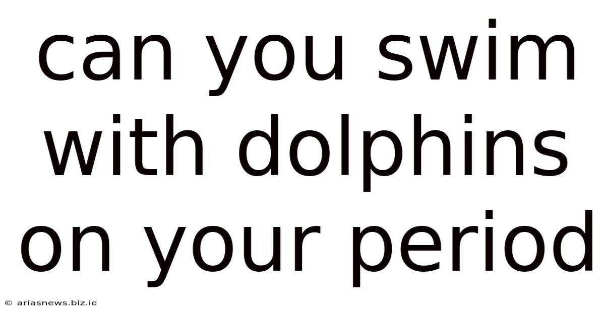 Can You Swim With Dolphins On Your Period
