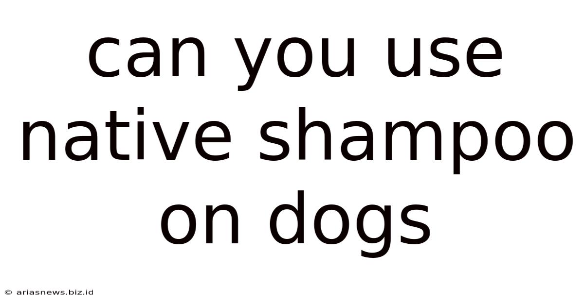 Can You Use Native Shampoo On Dogs