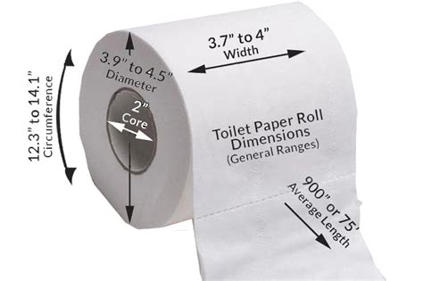 Circumference Of A Roll Of Toilet Paper