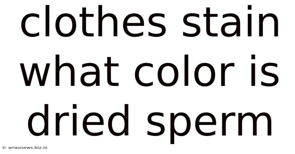 Clothes Stain What Color Is Dried Sperm