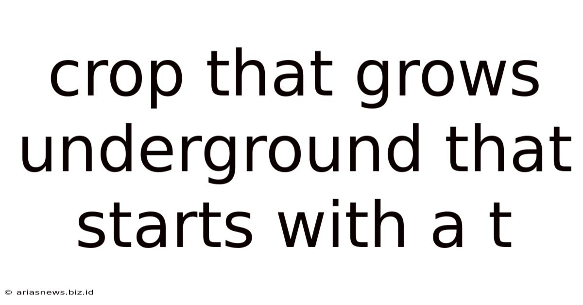 Crop That Grows Underground That Starts With A T