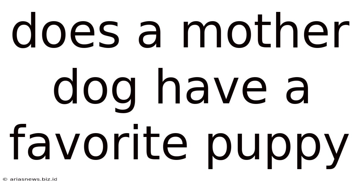 Does A Mother Dog Have A Favorite Puppy