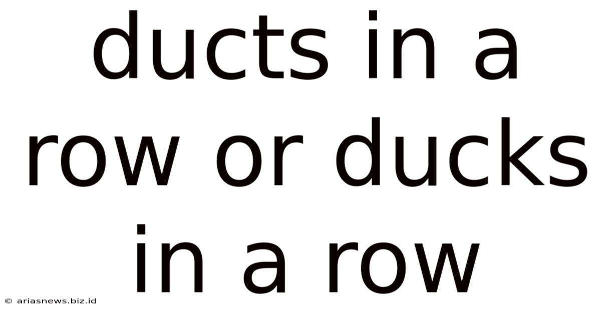 Ducts In A Row Or Ducks In A Row