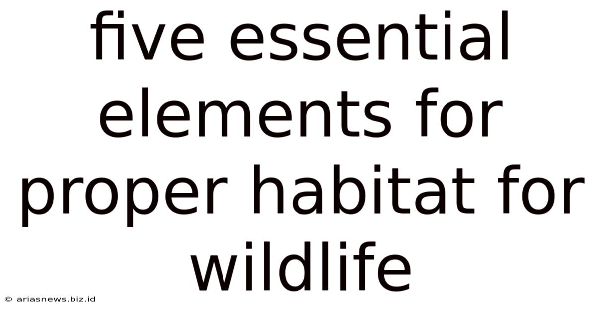 Five Essential Elements For Proper Habitat For Wildlife