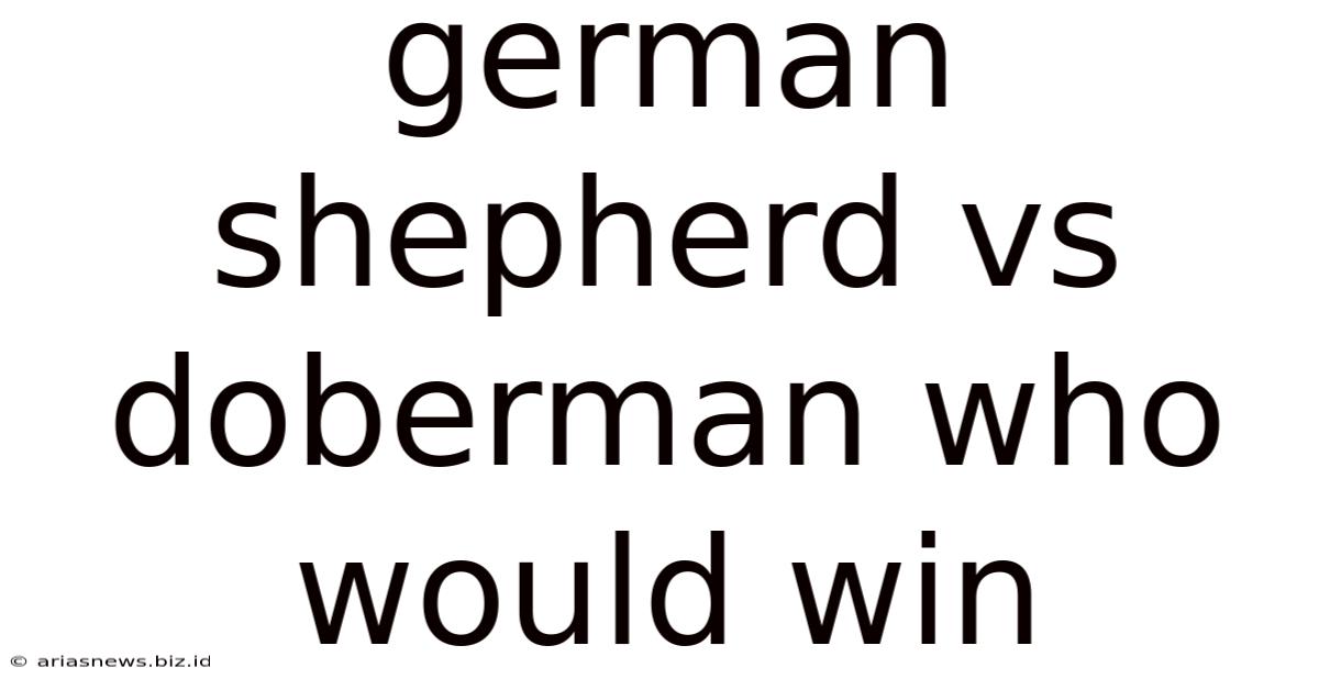 German Shepherd Vs Doberman Who Would Win