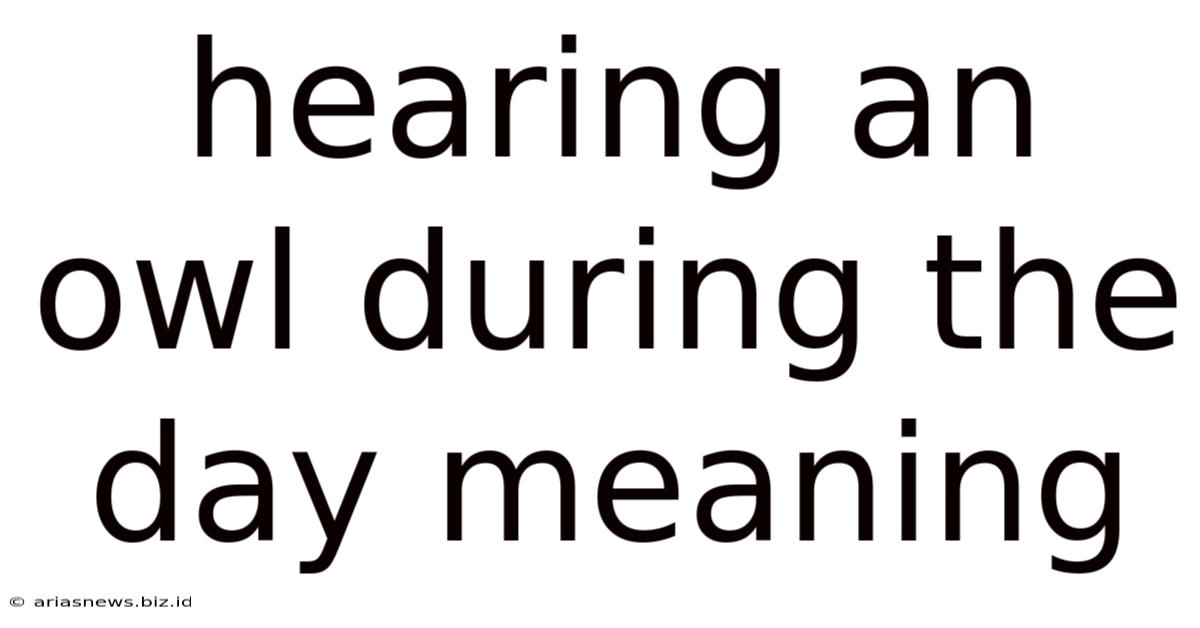 Hearing An Owl During The Day Meaning