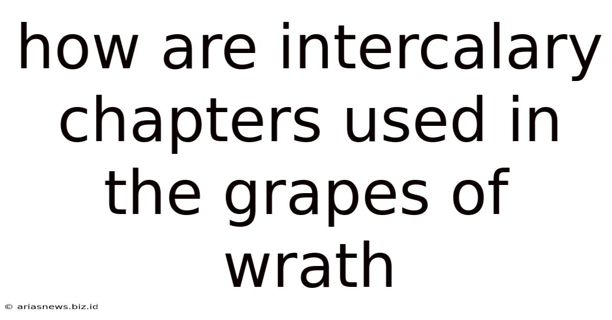 How Are Intercalary Chapters Used In The Grapes Of Wrath