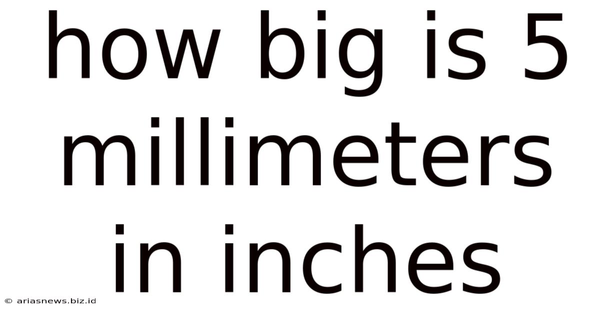 How Big Is 5 Millimeters In Inches