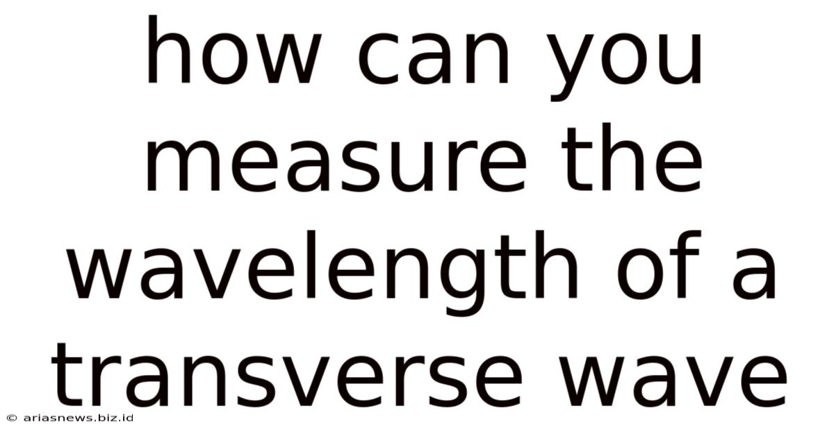 How Can You Measure The Wavelength Of A Transverse Wave