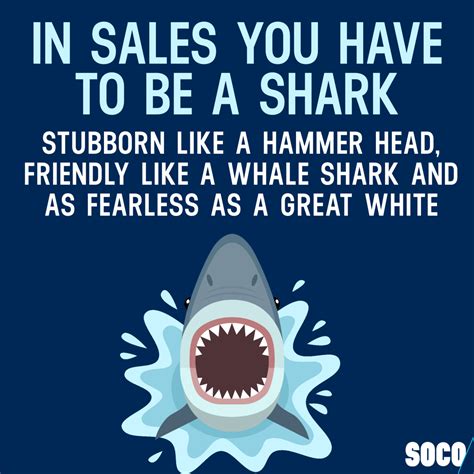 How Can You Tell If A Shark Likes You