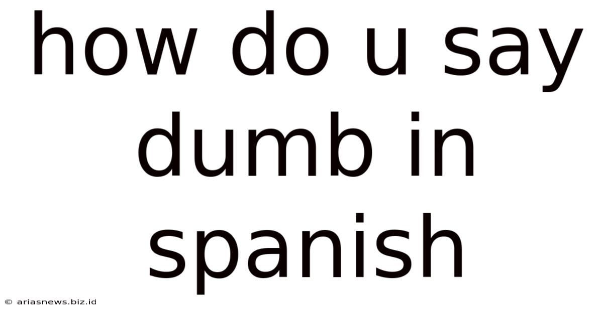 How Do U Say Dumb In Spanish