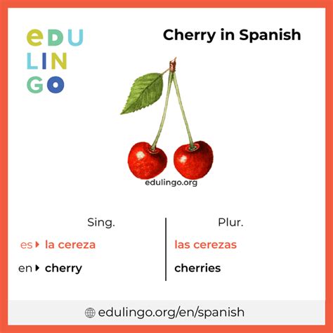 How Do You Say Cherries In Spanish