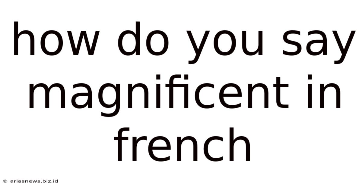 How Do You Say Magnificent In French