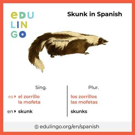 How Do You Say Skunk In Spanish