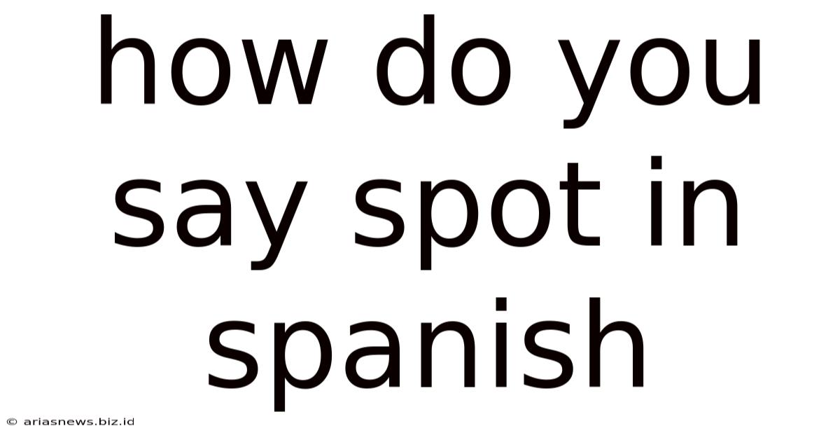 How Do You Say Spot In Spanish