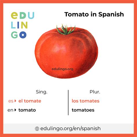 How Do You Say Tomato In Spanish