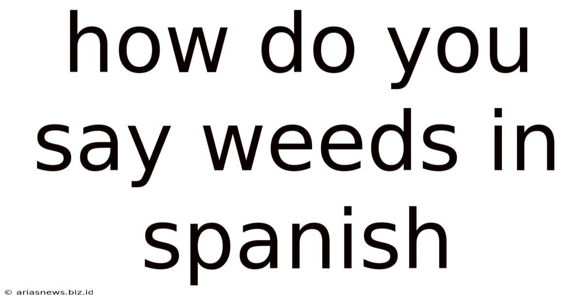 How Do You Say Weeds In Spanish