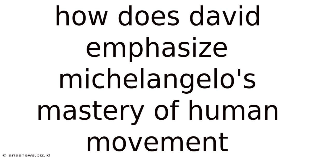 How Does David Emphasize Michelangelo's Mastery Of Human Movement
