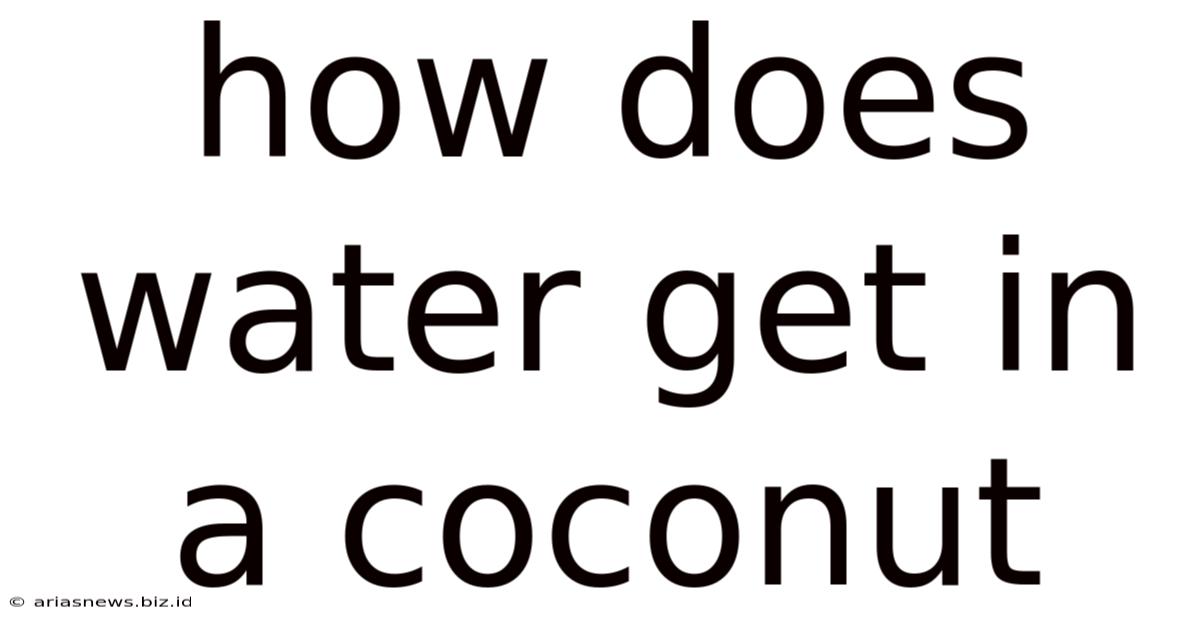 How Does Water Get In A Coconut