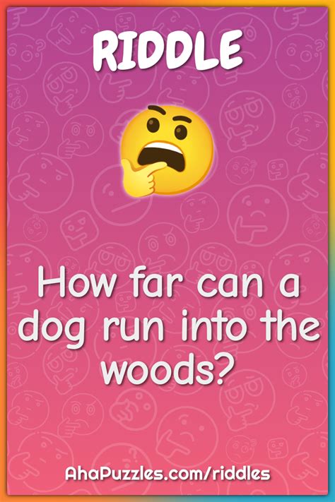 How Far Can A Dog Run Into The Woods